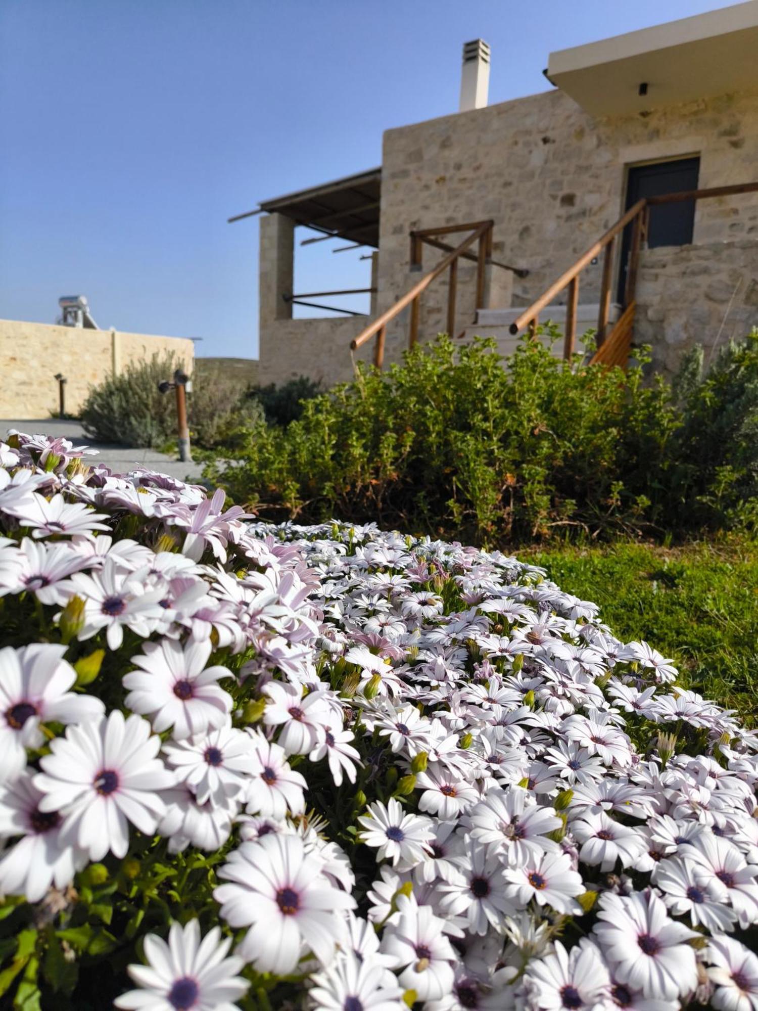 Alagni Cretan Resort 외부 사진